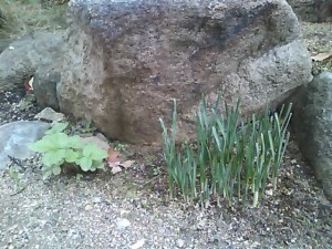 5824224_2019768467_169large