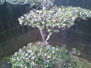 5824224_2022061457_181large