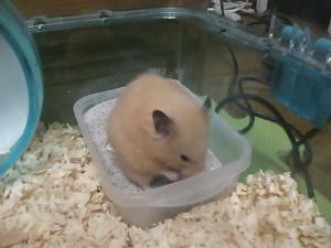 5824224_2022628996_65large