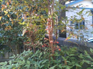 5824224_2026881573_130large