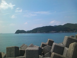 5824224_2092896463_204large