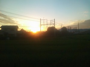 5824224_2104727398_91large