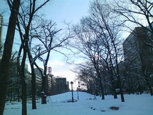 5824224_2127578564_81large