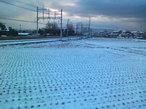 5824224_2129890139_109large