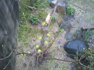 5824224_2147612645_8large