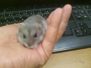 5824224_2152780524_85large