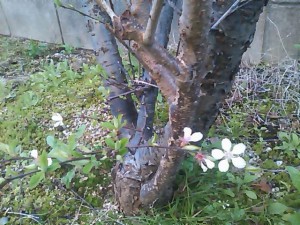 5824224_2206295965_152large