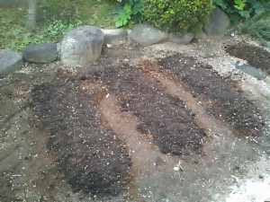 5824224_2259014457_36large