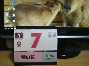 5824224_2275685808_178large